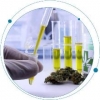 Forensic Analysis